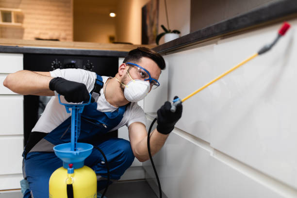 Reliable Atglen, PA Pest Control Solutions