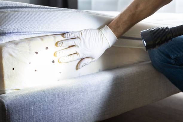 Best Exterminator Services  in Atglen, PA